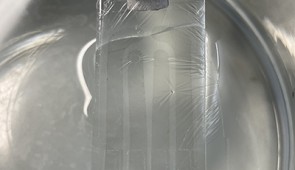Graphene tattoo floating in solution