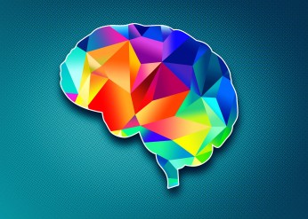 brain
