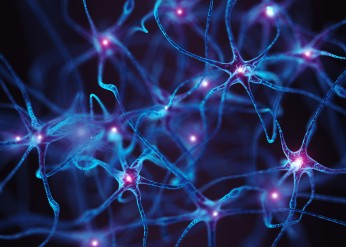 neuron health