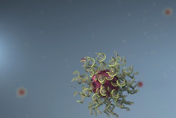 spherical nucleic acids